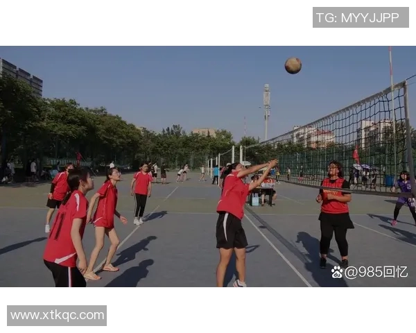 广州排球队的节奏与魅力探秘：排球运动的激情与团队精神