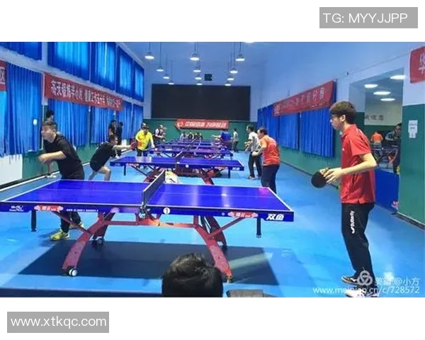 杭州乒乓球队在城市联赛中的比赛经验与表现分析