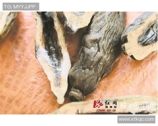 足球明星享受槟榔美味瞬间的独特魅力与健康影响探讨