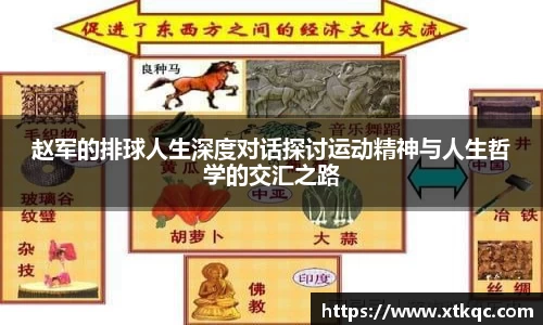 mk体育