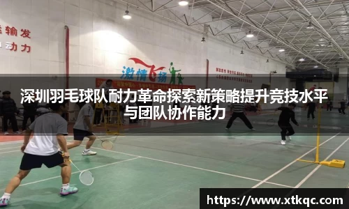 mk体育